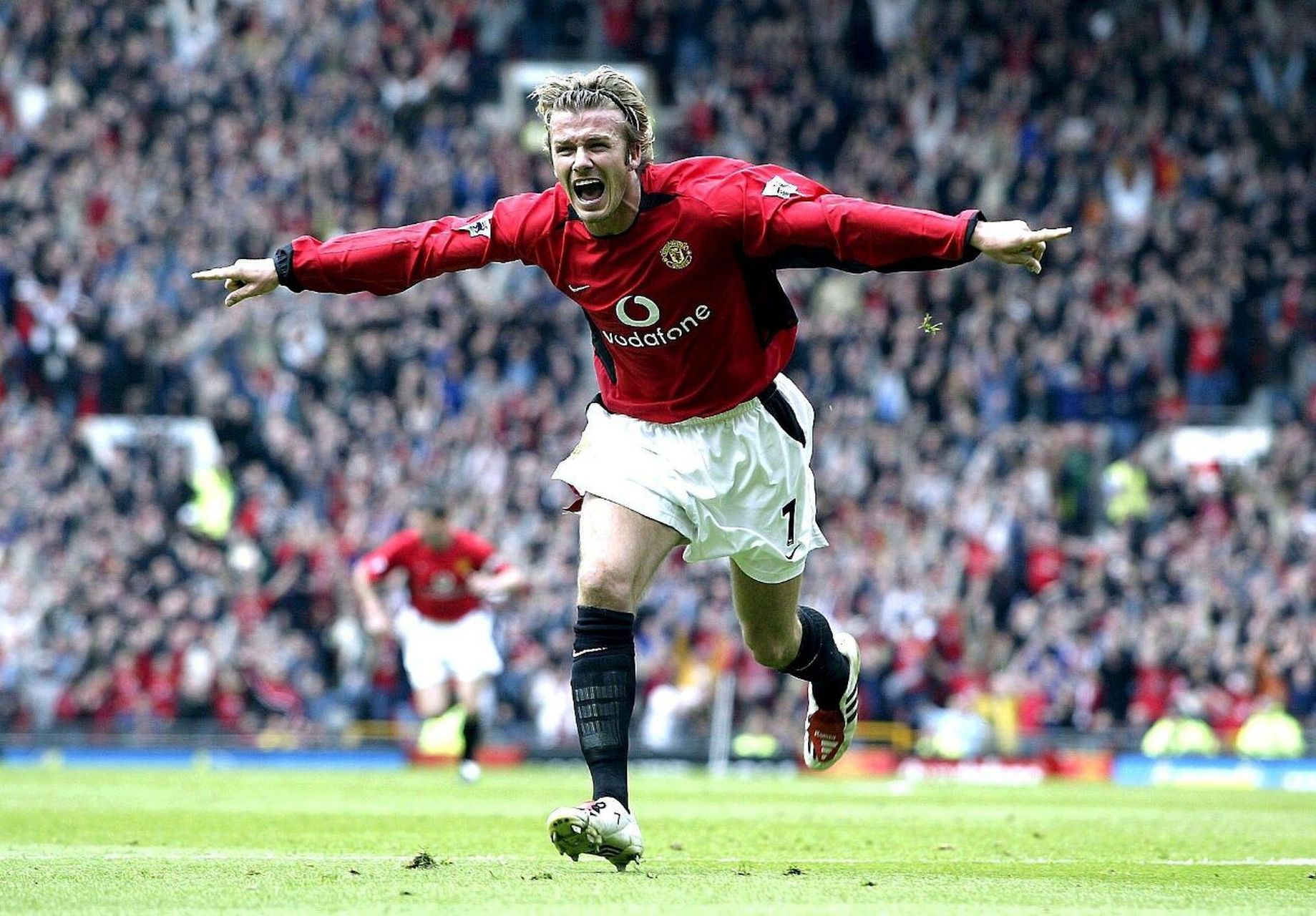 引发了社会 引发了社会